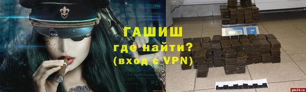 индика Кулебаки