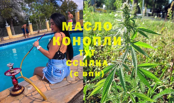 дмт Аркадак
