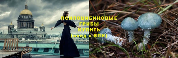 дмт Аркадак