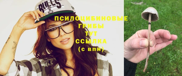 гашик Алексеевка